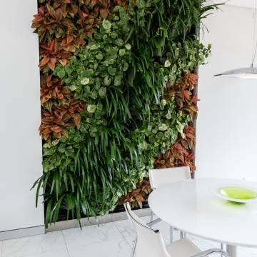 Workplace Wellbeing