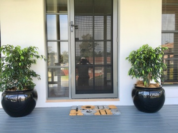 The-gallery - Living Green Indoor Plant Hire