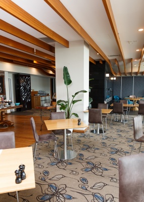 The-gallery - Living Green Indoor Plant Hire