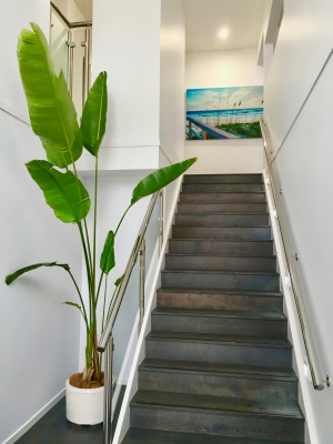 The-gallery - Living Green Indoor Plant Hire