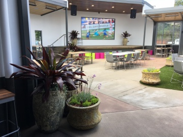 The-gallery - Living Green Indoor Plant Hire