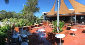 The-gallery - Living Green Indoor Plant Hire