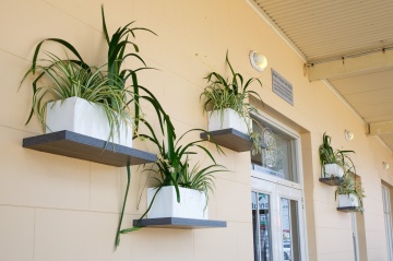 The-gallery - Living Green Indoor Plant Hire