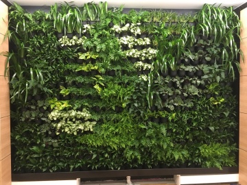 The-gallery - Living Green Indoor Plant Hire