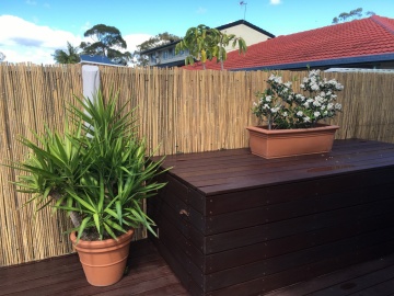 The-gallery - Living Green Indoor Plant Hire