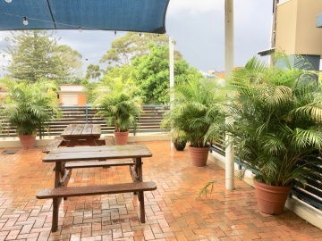 The-gallery - Living Green Indoor Plant Hire