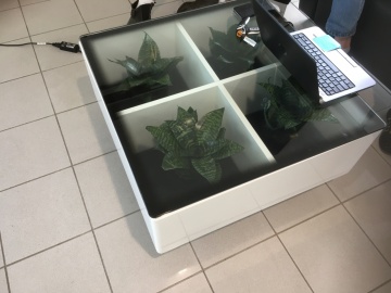 The-gallery - Living Green Indoor Plant Hire