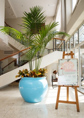 The-gallery - Living Green Indoor Plant Hire