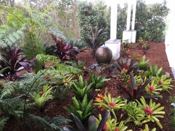 The-gallery - Living Green Indoor Plant Hire