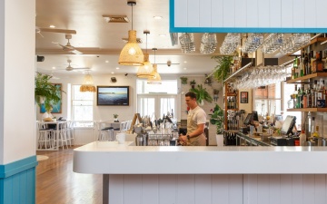 The-gallery - Living Green Indoor Plant Hire