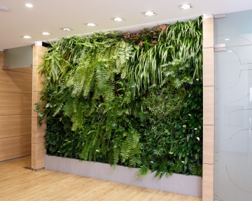 The-gallery - Living Green Indoor Plant Hire