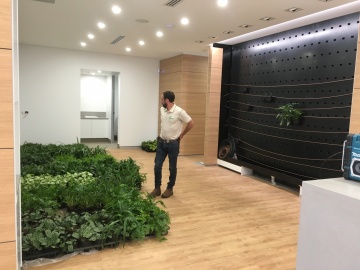 The-gallery - Living Green Indoor Plant Hire