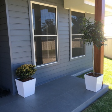 The-gallery - Living Green Indoor Plant Hire