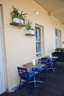 The-gallery - Living Green Indoor Plant Hire