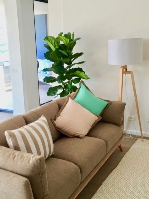 The-gallery - Living Green Indoor Plant Hire