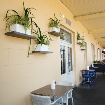 The-gallery - Living Green Indoor Plant Hire