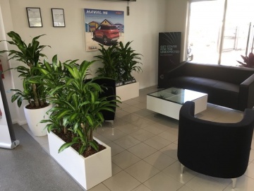 The-gallery - Living Green Indoor Plant Hire