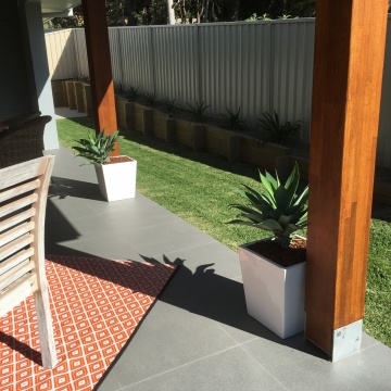 The-gallery - Living Green Indoor Plant Hire